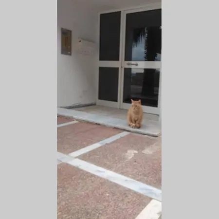 Апартаменты Captain's