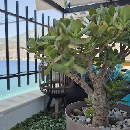 Captain's Loutraki (Corinthia)